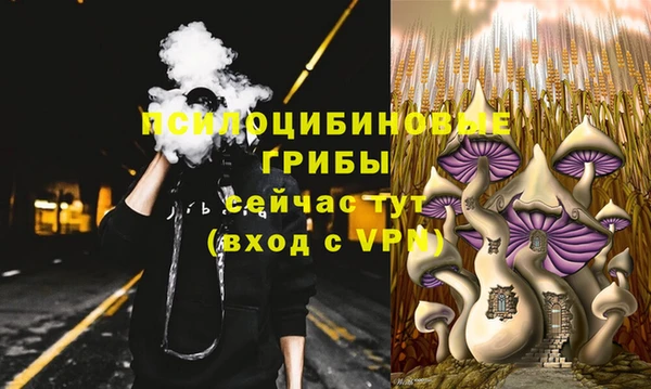 тгк Абдулино