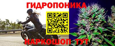 спиды Балашиха