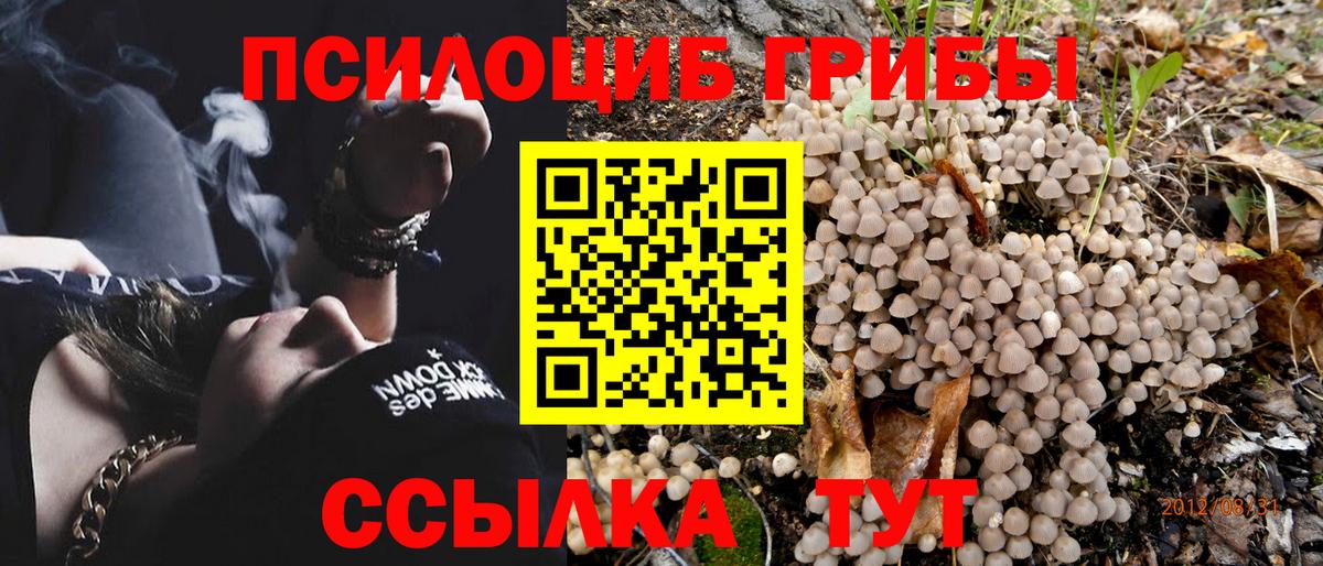 Псилоцибиновые грибы ЛСД Дербент