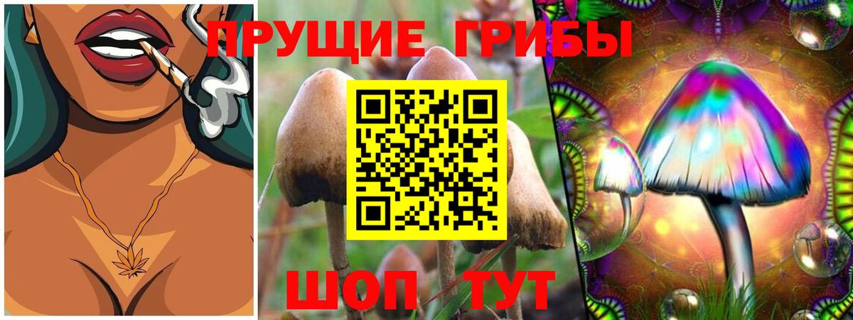 Дербент  купить наркоту  Вход с VPN  Псилоцибиновые грибы Cubensis 